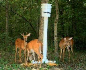 deer feeder plans projects